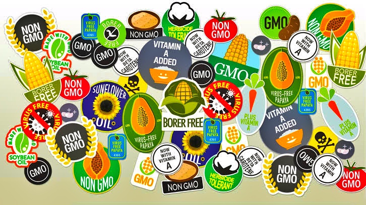 GMO