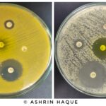 ANTIMICROBIAL RESISTANCE AND THE STEPS TO TACKLE AMR IN THE CONTEXT OF BANGLADESH