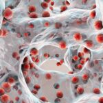 BIOFILM AND ITS ROLE IN BIOREMEDIATION