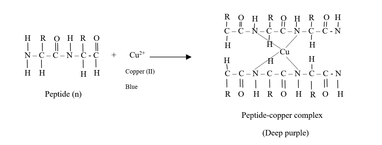 Rapid and Efficient Way to Find Out Protein Concentration in a Sample with biuret assay