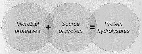 A Short Overview of the Virulence Properties of Bacterial Enzymes