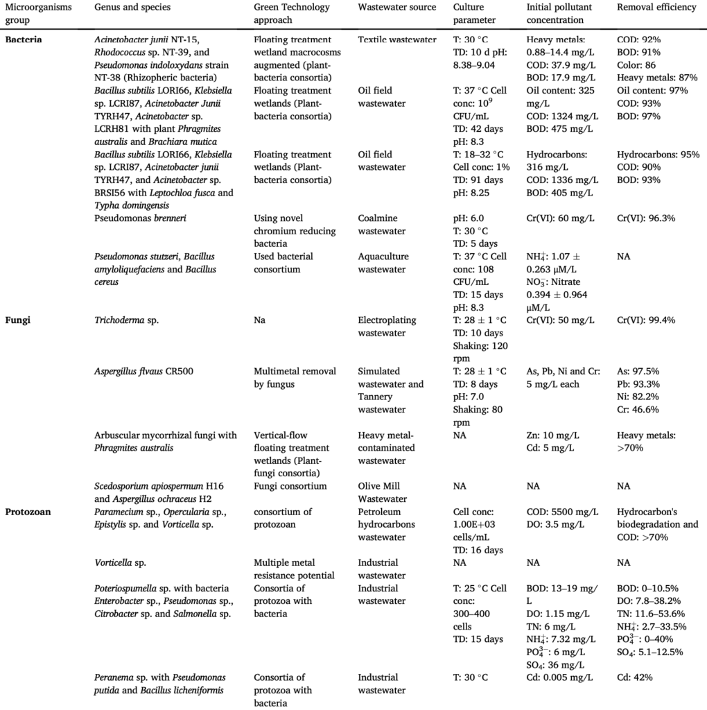 sustainable and bio-inspired approach to environmental cleanup
